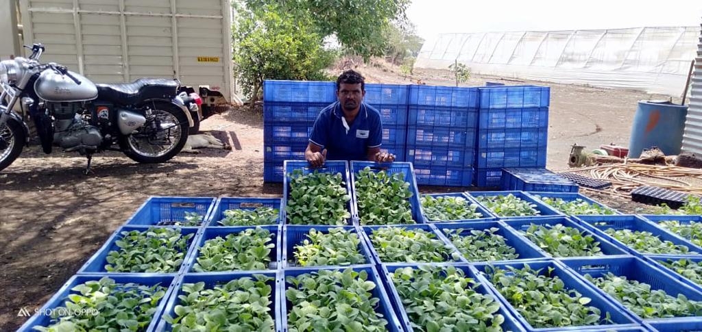Support Sustainable Agriculture